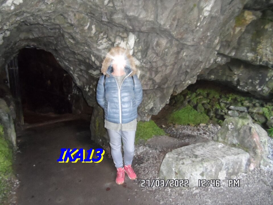 SAM_3911.JPG - ika13