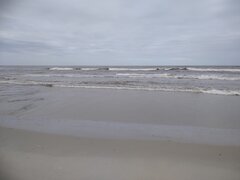IMG_20220327_133724.jpg