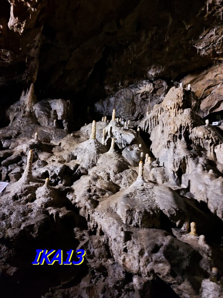 IMG-20220327-WA0003.jpg - ika13