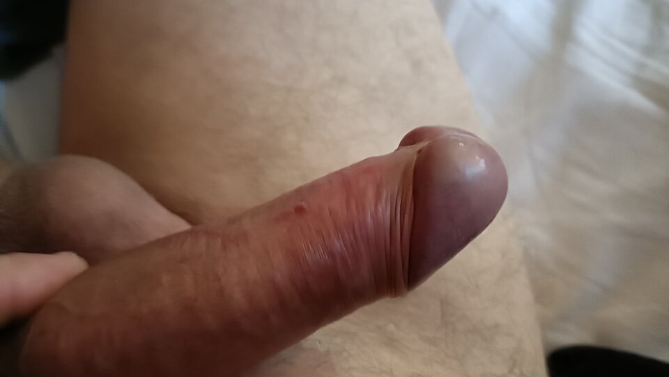 IMG20220328082645.jpg - ardas1