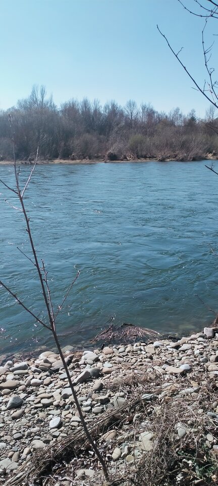 IMG20220328151053.jpg - maniana35