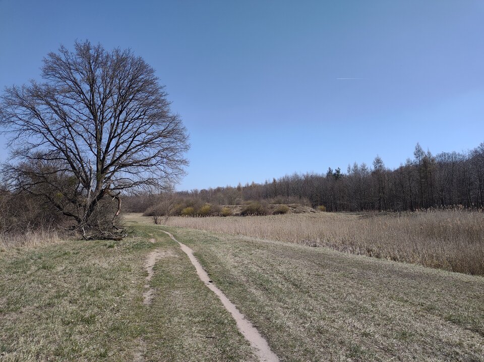 IMG_20220328_130219544.jpg - Paolo67