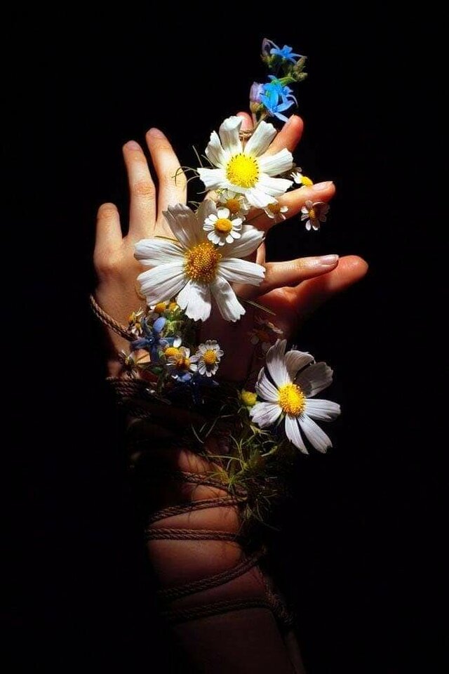 Wiosna, Wiosna.... Ach to Ty - misterzig