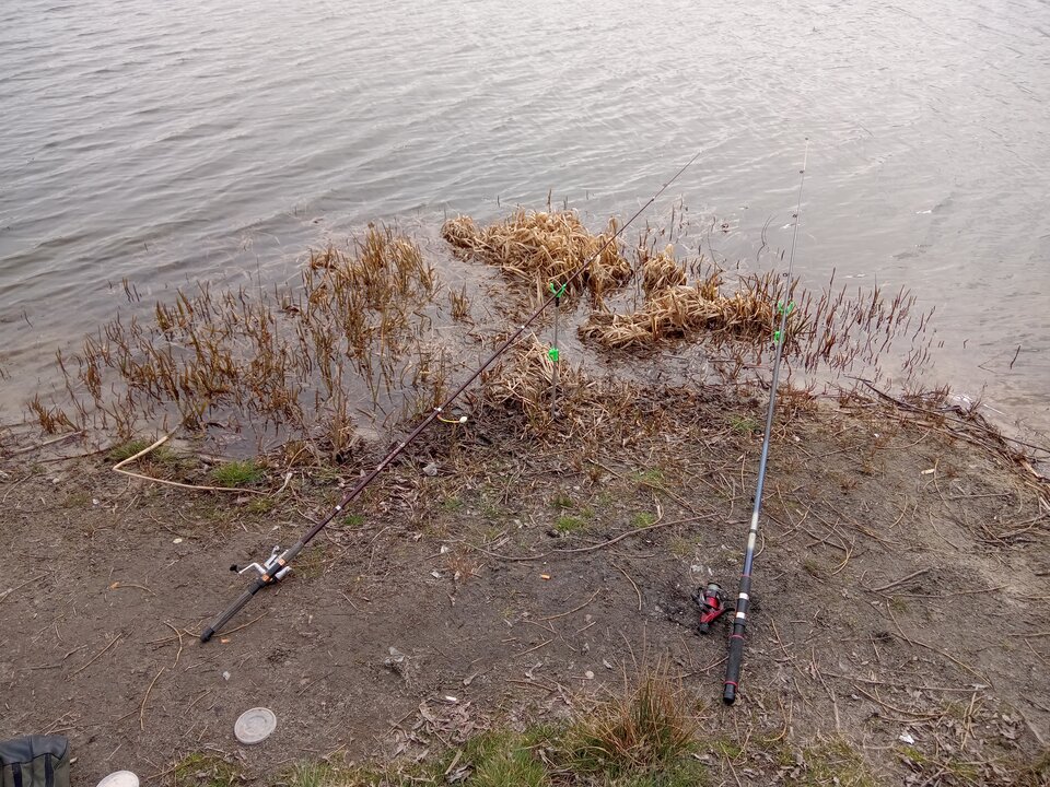 IMG_20220329_133158_719.jpg - rafi07