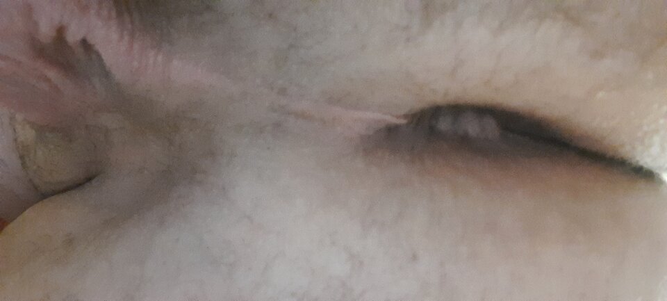 20220329_154648.jpg - rafal1410