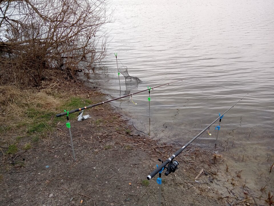 IMG_20220329_153819_541.jpg - rafi07