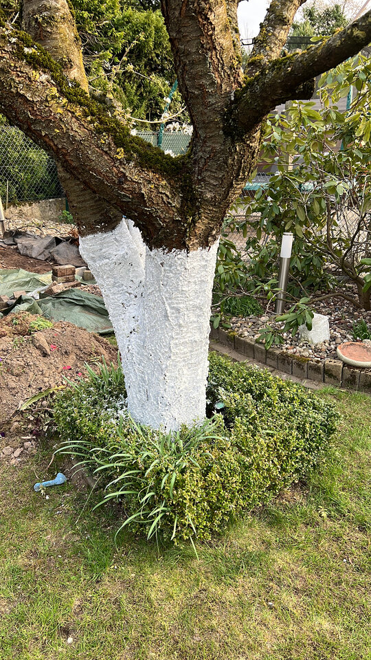 B8EC9264-2920-486A-BCEE-F8F291B591D7.jpeg - nrw670n