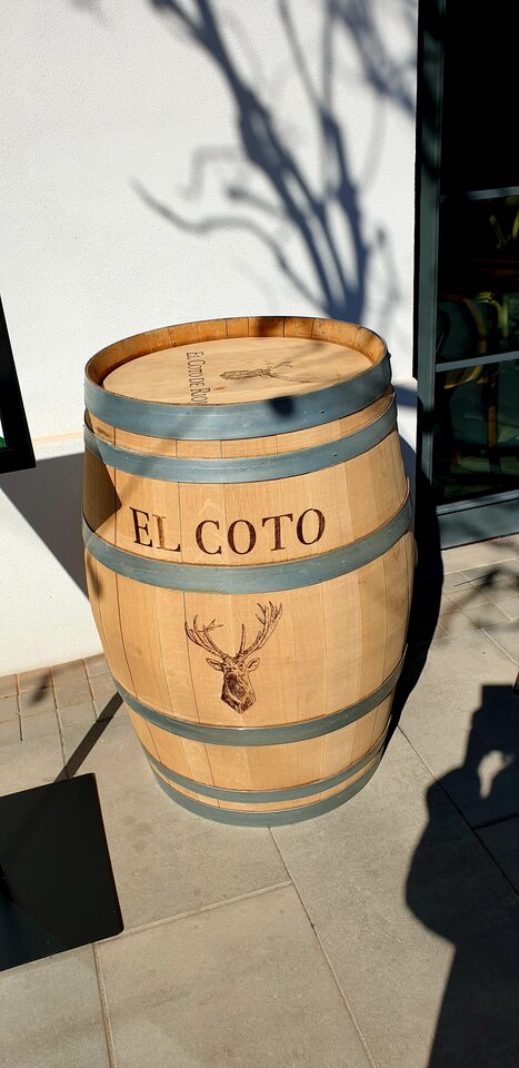 20220320_193944.jpg - Sh_e