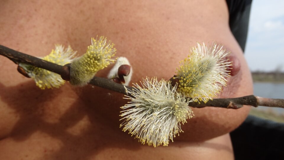 DSC02473.JPG - para38krakow