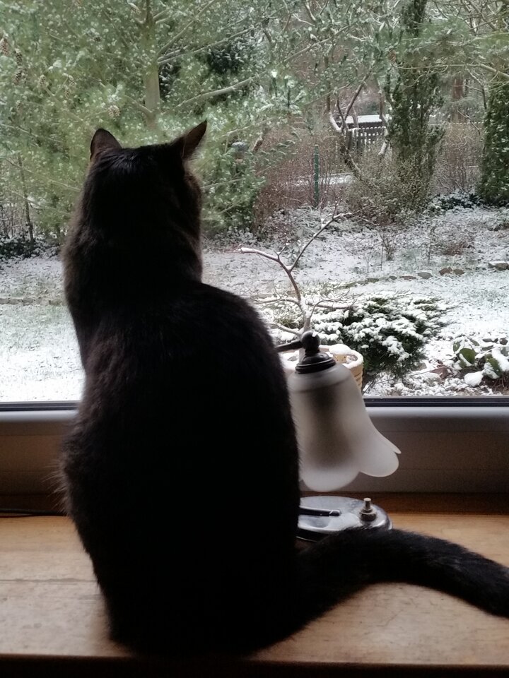 Aź mnie obróciło ...zaskoczenie a niby zapowiadali - hedon50