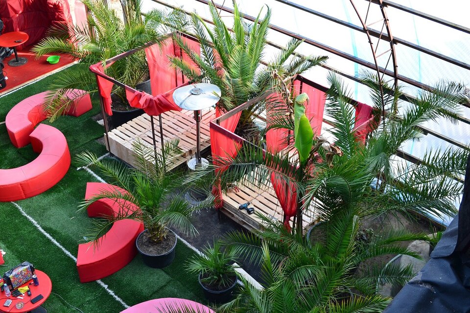 Nasz ogród zimowy - marzec 2022 - jacuzzi