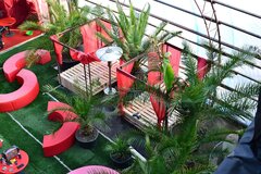 Nasz ogród zimowy - marzec 2022