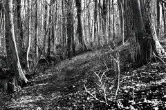 IMG_2707.jpg