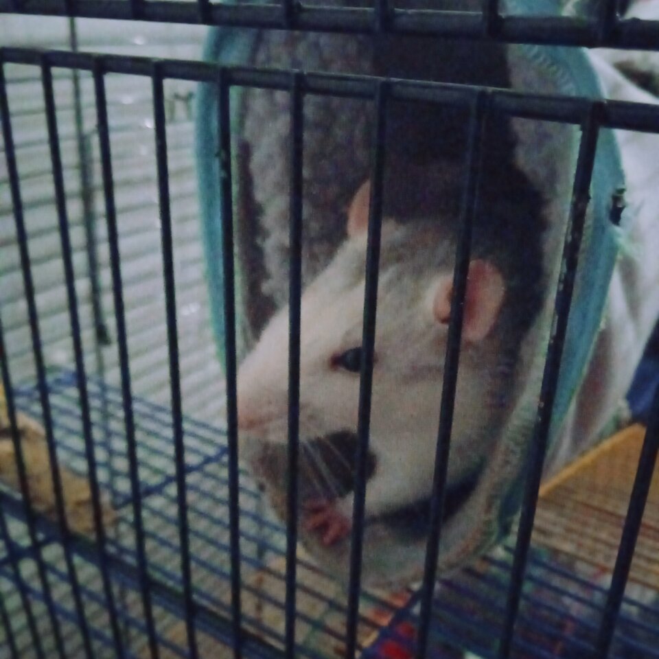 IMG_20220328_030838.jpg - WAWA24zap