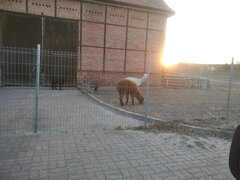 IMG_20220401_190234.jpg