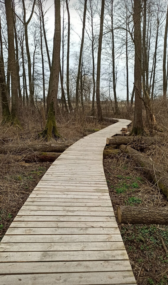 2022-04-01 - wzwodnik1