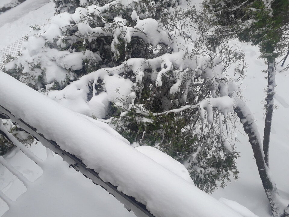 20220402_095440.jpg - ameska