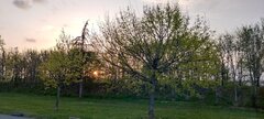 IMG_20220330_200459.jpg