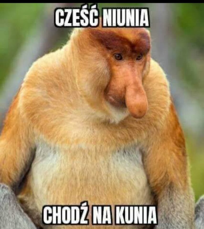 277309058_667884534539719_1121461402797548159_n.jpg - dareeeek