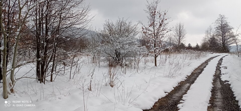 IMG_20220403_134143.jpg - cojones_big