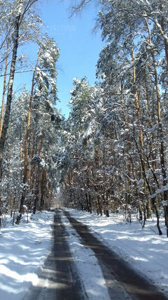 wiosenna zima :).jpg