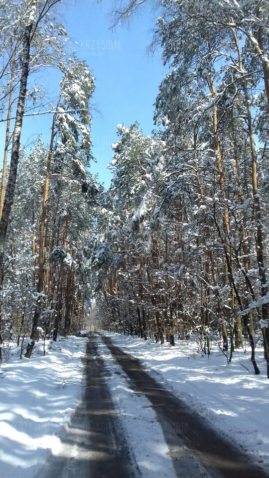 wiosenna zima :).jpg - krzysm16