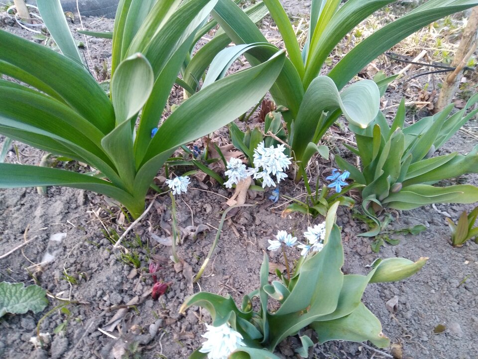 20220403_185107.jpg - Krzyszto1234