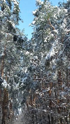 kwietniowa zima :).jpg