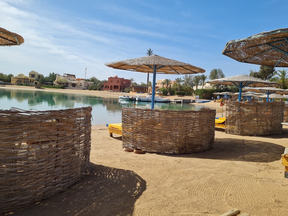 20220401_084849.jpg - heniek_lodz_50