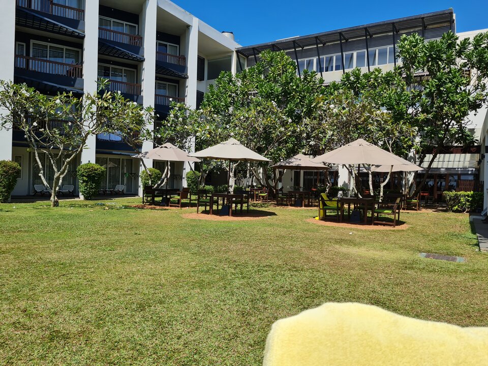 20220306_141012.jpg - heniek_lodz_50