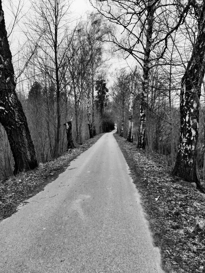 20220404_173634.jpg - dino8