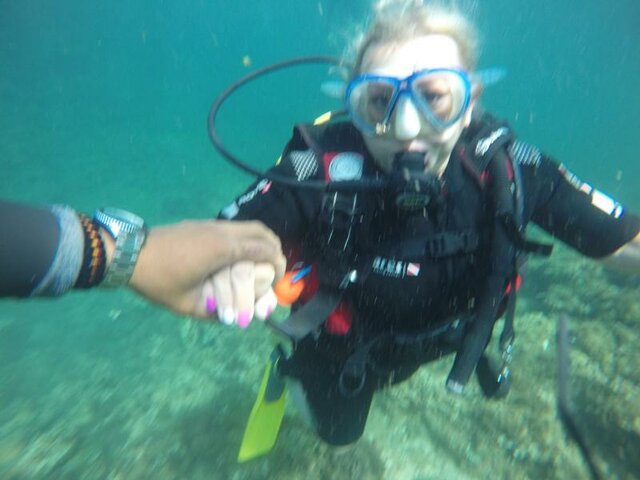 47734.jpg - wswoimczasie