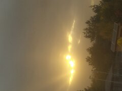 IMG_20211021_171003.jpg