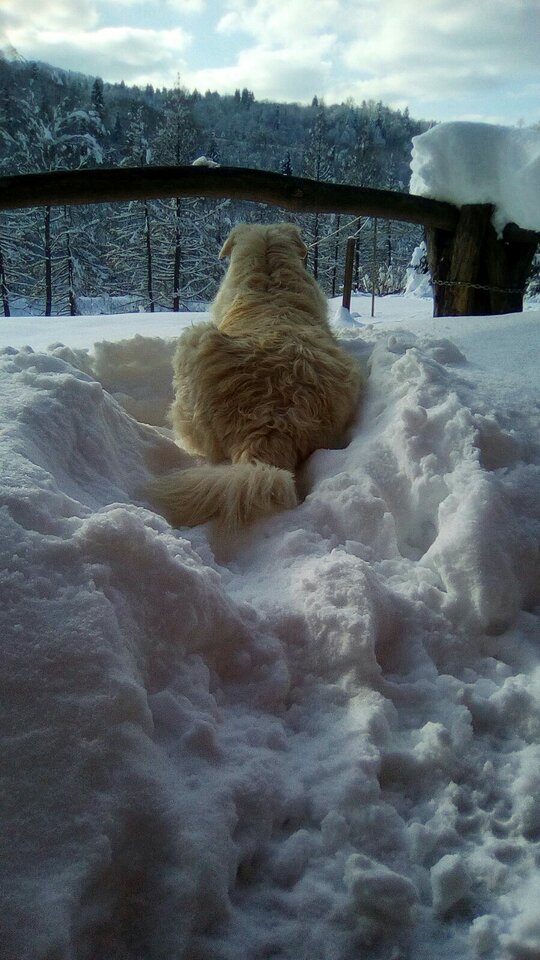 002f5248-79ce-4033-9437-7c5455653ab2.jpg - xclusive102