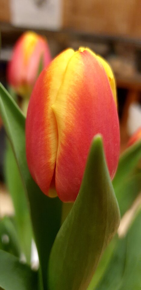 20220405_192344.jpg - Sh_e