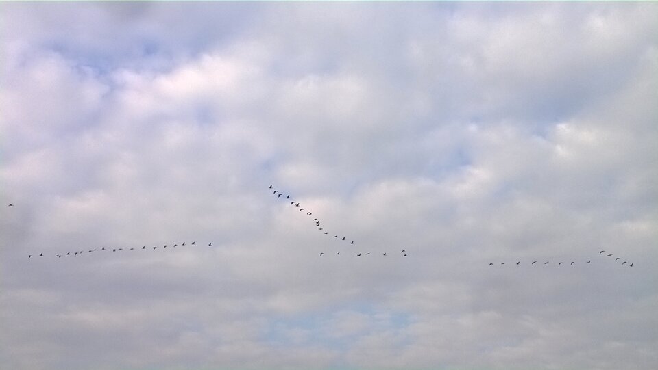 Teraz to już wiosna - Ratl