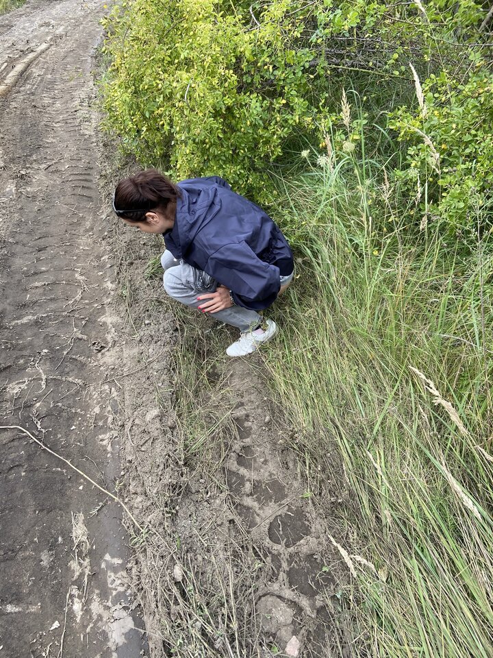 90F4FB90-B565-4795-8E58-2AF7BAE2EA13.jpeg - ternate3