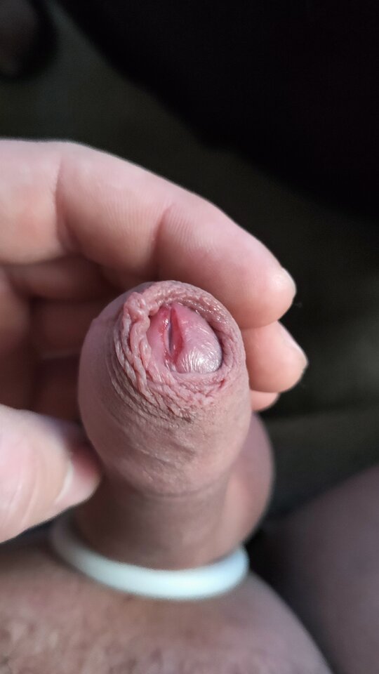 IMG20220404172709.jpg - googlebeer1