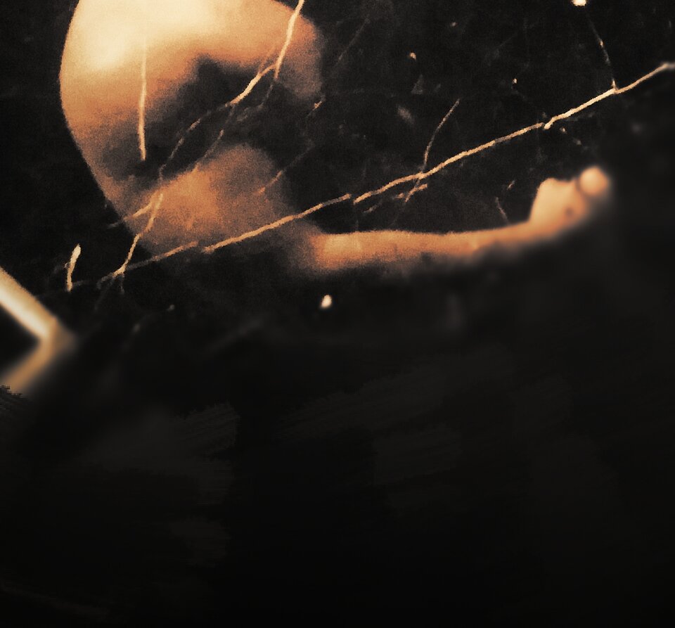 IMG_20210727_000221.jpg - Aquilani