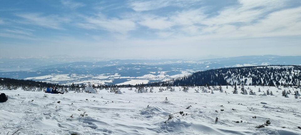 IMG-20220320-WA0010.jpg - Redorange999