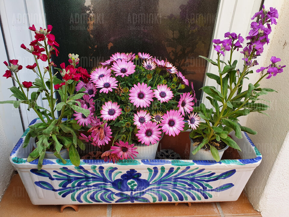 20220408_164740.jpg - Adminki