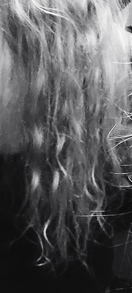 IMG_20220408_190629.jpg - Jawahirr