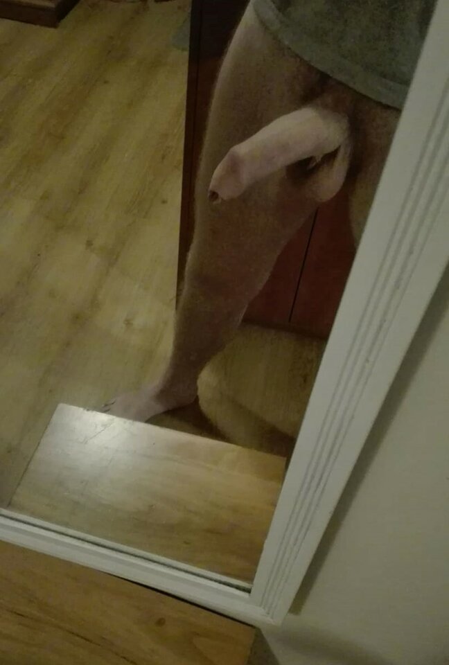 274293725_4940547826012087_5786856913963799139_n (2).jpg - DanielPL69