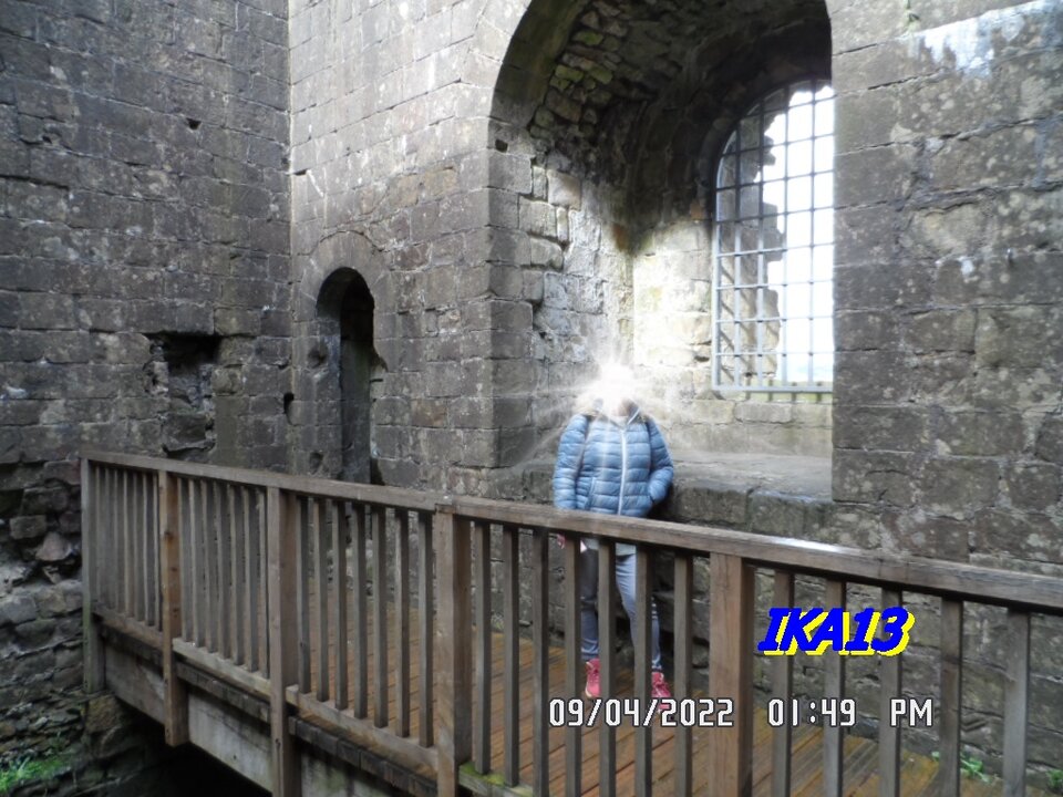 SAM_3921.JPG - ika13