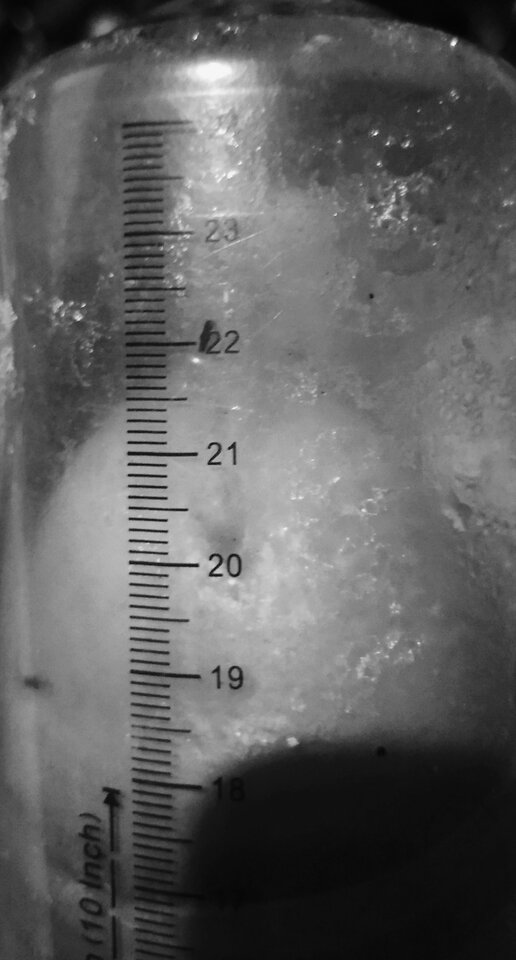 IMG_20220410_003047.jpg - Pepe91