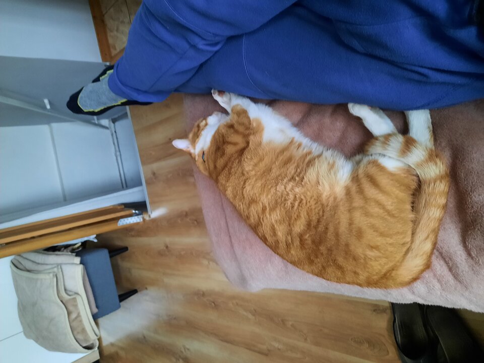 20220410_145436.jpg - Makser67