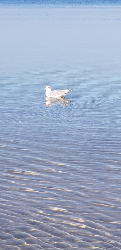 20211010_114357.jpg - RadekNaturist72