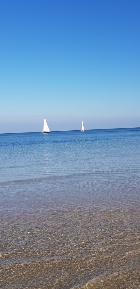 Troszkę lata🤣🤣🤣 - RadekNaturist72