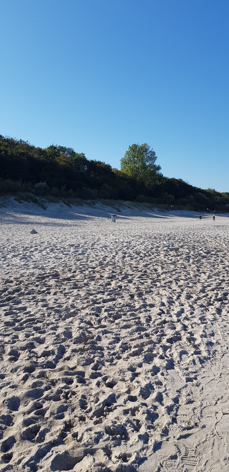 Tęsknicie? - RadekNaturist72