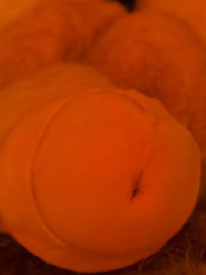 IMG_20220410_024013.jpg - Mabakol